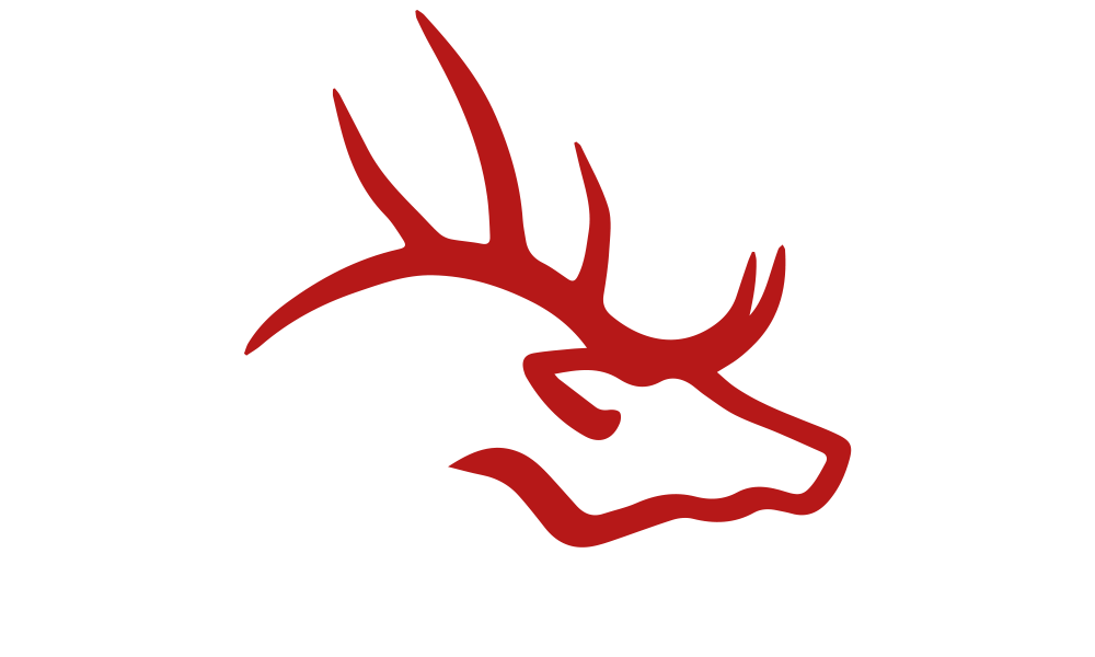 Burleson High School logo